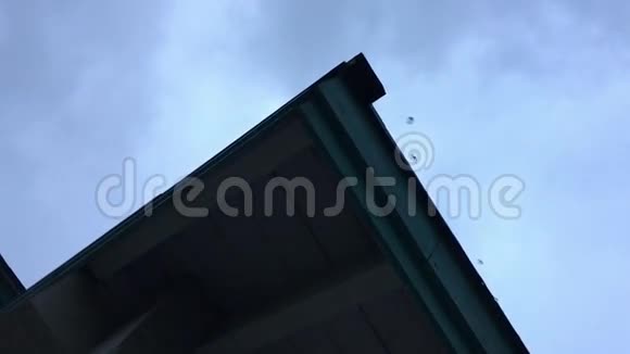 雨点从屋顶落下视频的预览图