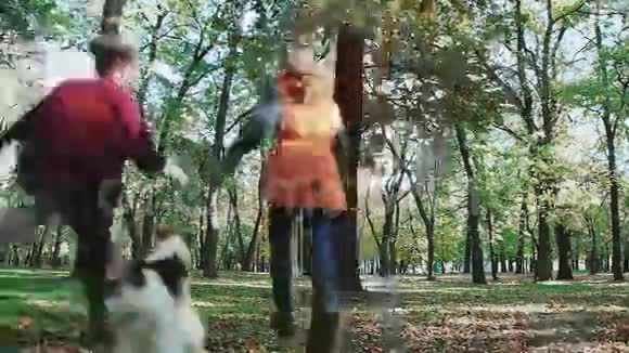 两个年轻的女人手牵手跑还有狗狐狸猎犬在秋天的森林里慢跑落叶树木通路视频的预览图