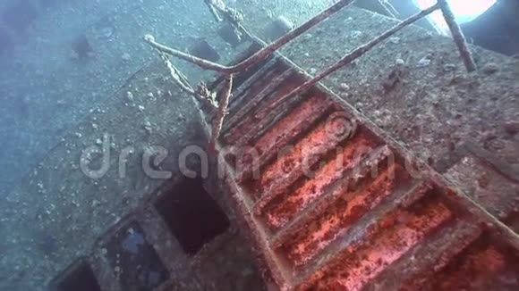 在埃及红海的萨勒姆快速沉船上的楼梯视频的预览图
