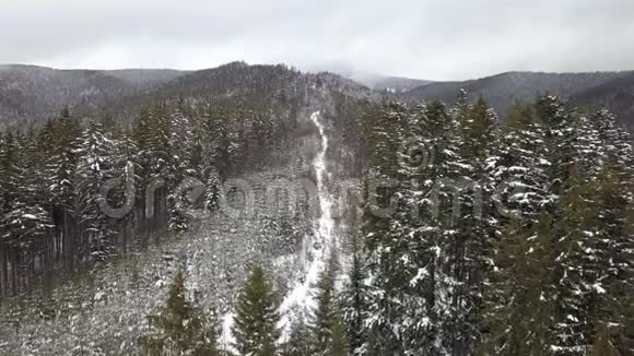 山上有松树的白雪覆盖的乡间小路视频的预览图