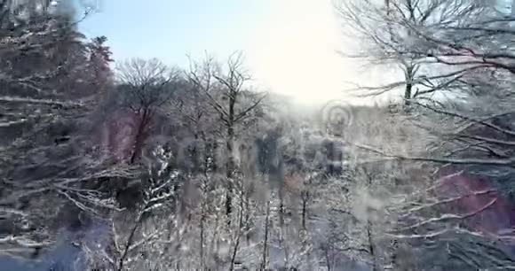 早晨下雪时飞过新英格兰的一个农场视频的预览图