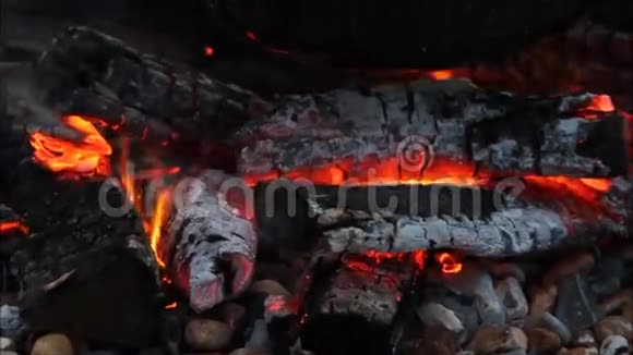 炽热的火焰篝火视频的预览图