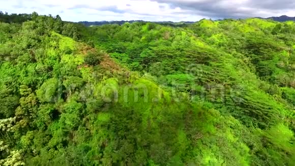 4k空中阳光明媚的一天山上茂密的绿色丛林森林视频的预览图