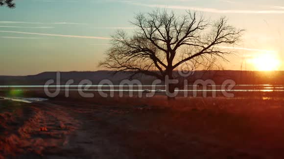 剪影两人在夕阳下的路上独自站在树上剪影运动的年轻人在大自然中奔跑视频的预览图