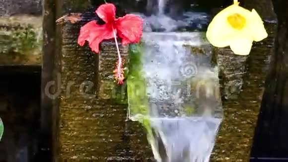 在巴厘岛上神圣的泉水流入游泳池和传统的巴厘岛树叶和鲜花视频的预览图