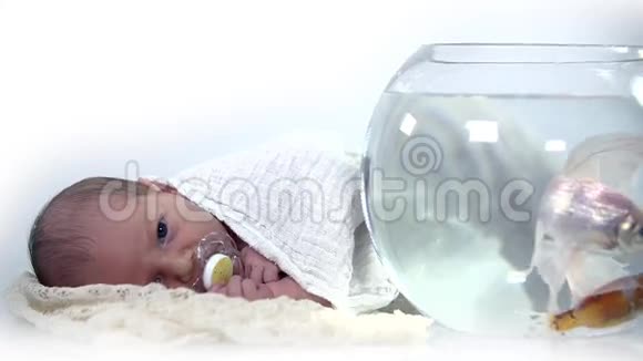 婴儿在鱼缸旁边休息视频的预览图