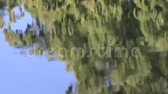 反射天空和针叶树的水质地视频的预览图