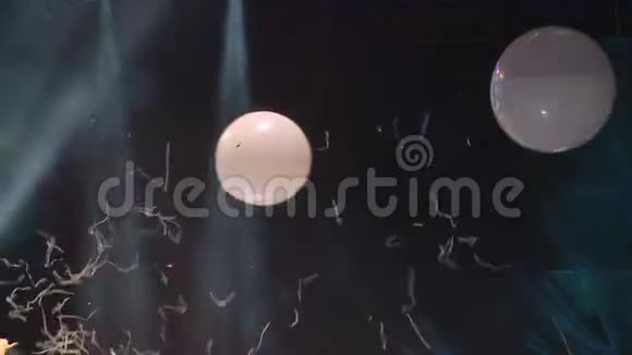 在聚会上用白色气球表演纸视频的预览图