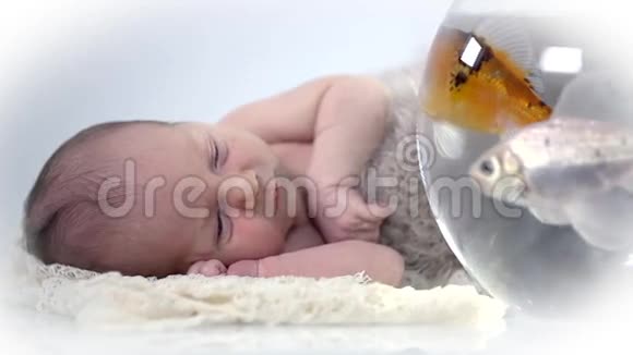 婴儿和鱼缸的精彩镜头视频的预览图