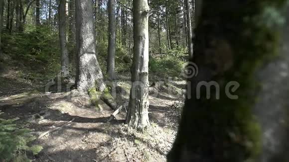 下坡司机通过树根视频的预览图