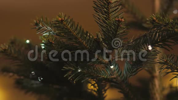 灯在芬芳的圣诞树上闪烁视频的预览图