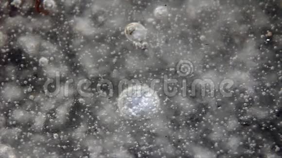 许多气泡在冰上视频的预览图