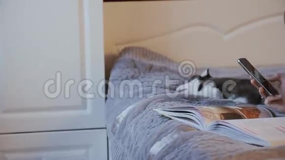 带着电话躺在床上的女孩西伯利亚哈士奇小狗睡在她身边视频的预览图