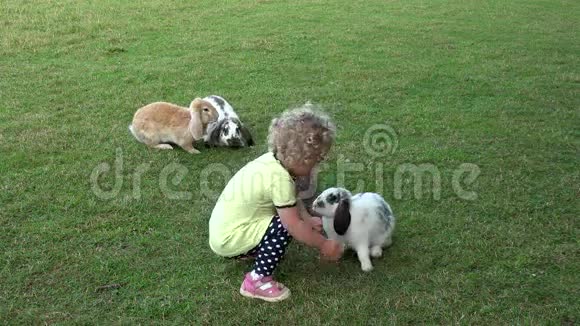 好奇的卷发女孩在动物园花园的兔子间玩得很开心视频的预览图