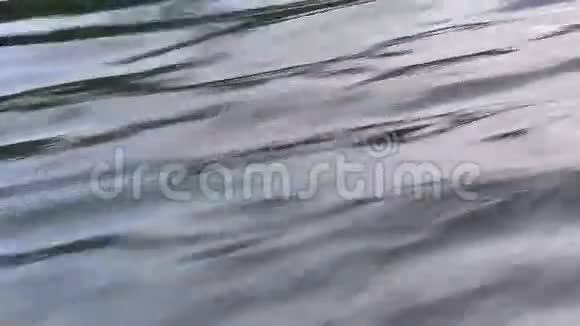 水从移动的船上涟漪视频的预览图