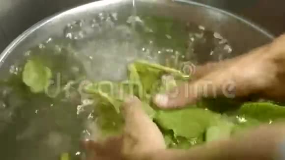 人的双手洗菠菜视频的预览图