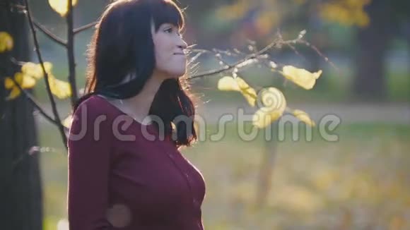 可爱的年轻孕妇站在金叶间的秋天公园里望着天空视频的预览图
