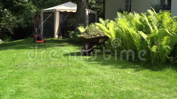 穿短裤和胸罩的女园丁推着蕨类植物附近的割草机4K视频的预览图