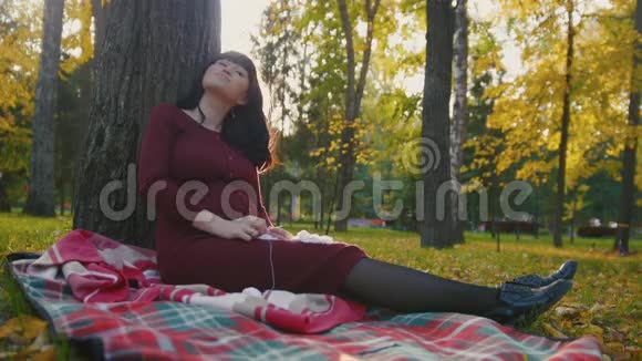 美丽的孕妇坐在秋天的公园里在金色的树叶和针织针之间日落背光视频的预览图