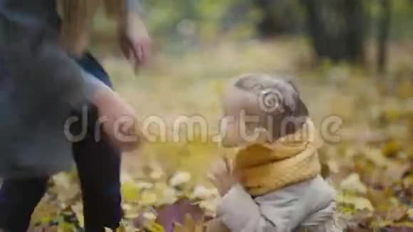 妈妈和她的女儿小女孩在秋天的公园里散步妈妈和孩子玩得很开心玩得很黄叶视频的预览图