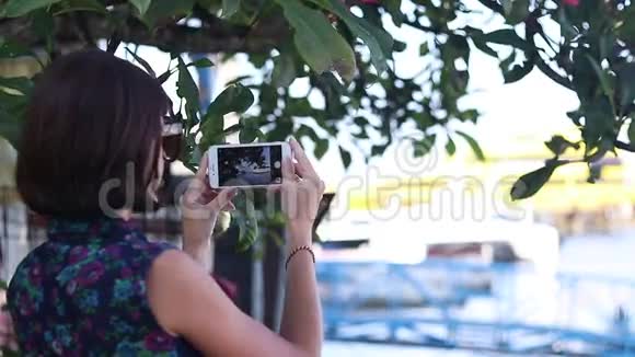 年轻女子在智能手机游艇和海洋上拍摄视频特写镜头戴眼镜的年轻女子视频的预览图