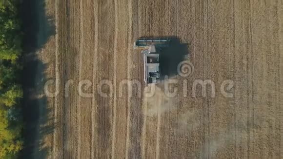空中无人驾驶飞机在一片农田中拍摄的联合收割机4K拍摄视频的预览图