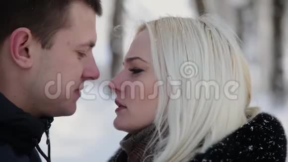 美丽的年轻夫妇牵着手在一个城市冬季公园里交谈和微笑视频的预览图
