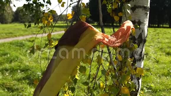 孤独的黄巾随风飘在树上视频的预览图