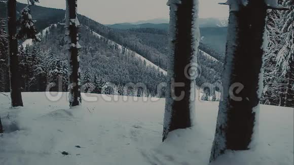 女人独自走在冬林里冬天森林里的女孩视频的预览图