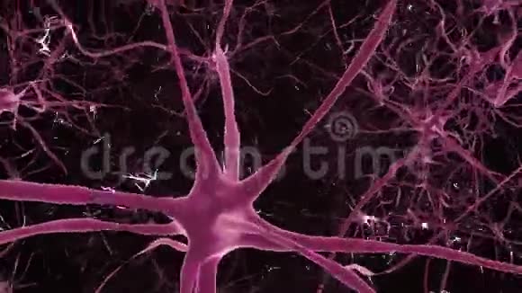 大脑中的神经元神经网络3D循环动画视频的预览图