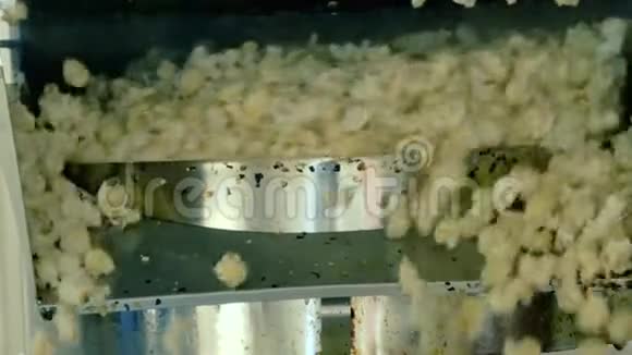 在工厂煮爆米花的过程快关门慢慢地视频的预览图