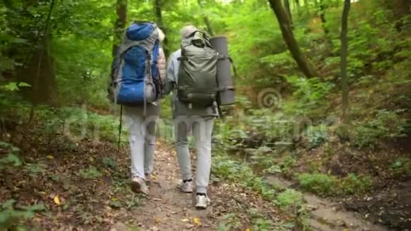 在森林里沿着小路走的漂亮的老夫妇视频的预览图