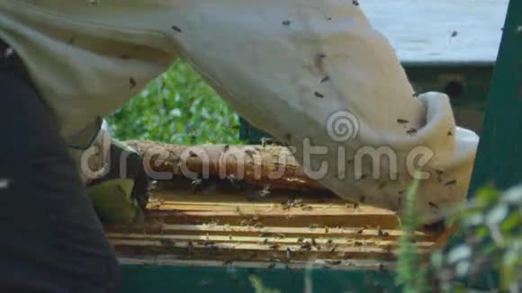 慢动作养蜂人取出蜂蜜康全蜜蜂视频的预览图