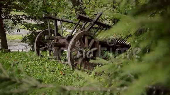 一辆古老的乡村木车停在长满灰色苔藓的森林里视频的预览图