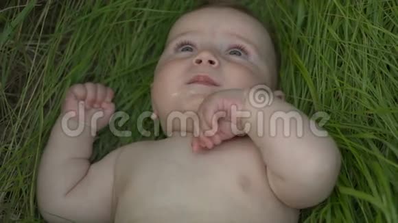 夏日里快乐的宝宝视频的预览图