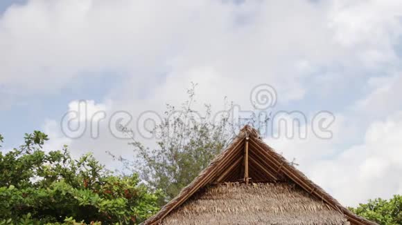 热带木屋棕榈叶屋顶在热带海滩的异国情调巴厘岛印度尼西亚蓝色多云的天空视频的预览图