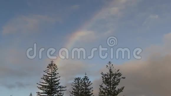 彩虹和针叶树对天空视频的预览图