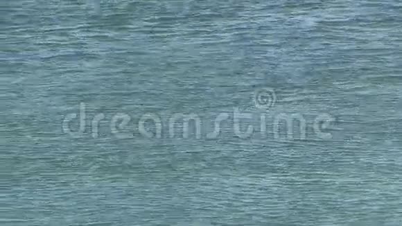 水背景入潮逆流方向视频的预览图