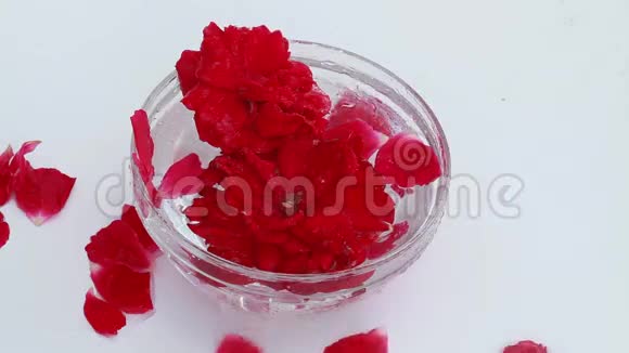 玫瑰花苞放在装有水的玻璃碗里视频的预览图