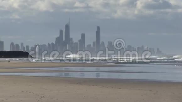 一只在澳大利亚黄金海岸棕榈滩享受清晨的狗视频的预览图