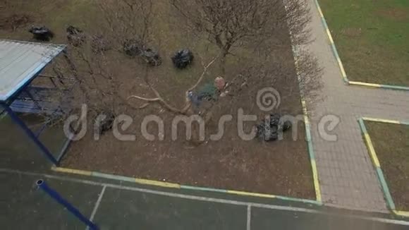 一名儿童在院子里爬树的空中射击视频的预览图
