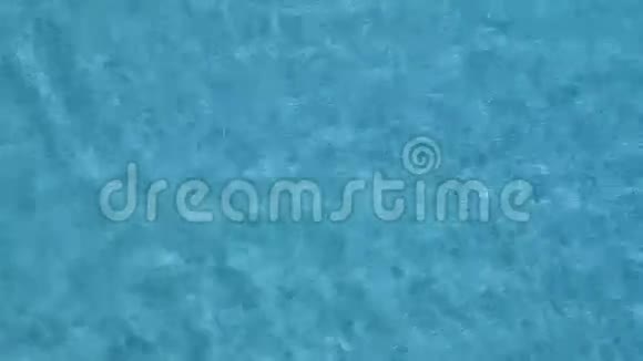 泳池水背景视频的预览图