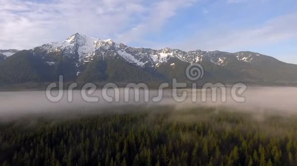 白马山瀑布山脉博尔德河荒野贝克斯诺夸米国家森林视频的预览图