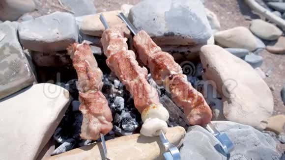 在石头手工制作的篝火上用热炭烧烤串烧烤视频的预览图