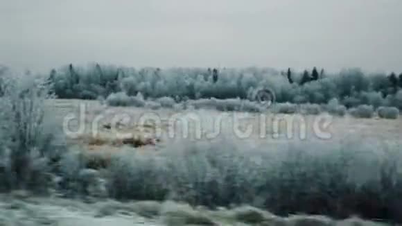 沿着白雪覆盖的冻树美丽的景色前进视频的预览图