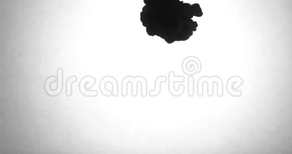 在白色背景后面的水中滴下黑色墨水视频的预览图