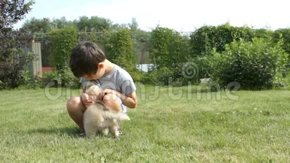 小孩在花园里拥抱和抚摸一只沙哑的小狗视频的预览图
