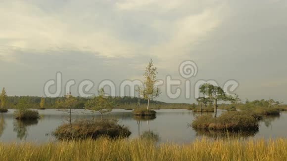 湖中的小岛秋天的白天光滑的娃娃射击视频的预览图