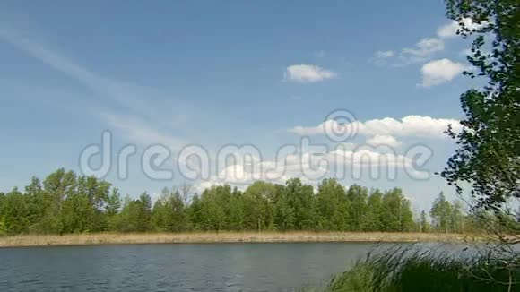 阳光明媚的日子里河水流淌视频的预览图