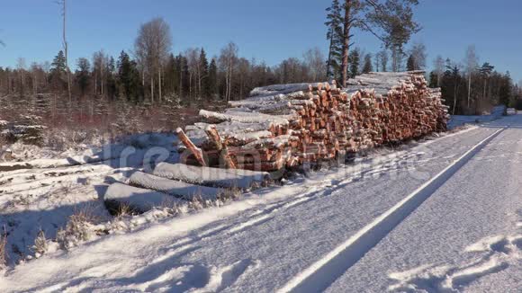 冬天伐木工人用绳子和斧头在一堆覆盖着雪的原木附近行走视频的预览图
